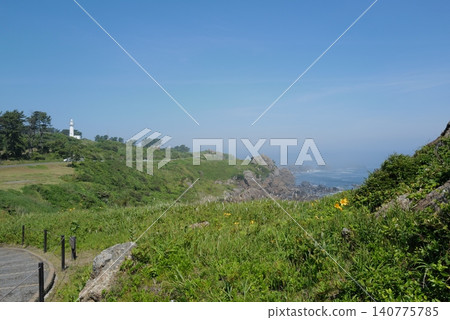 A hill covered in blooming daylilies and the Samekaku Lighthouse shrouded in mist by the Yamase wind (from Ashigezaki Observatory, Hachinohe City) 140775785
