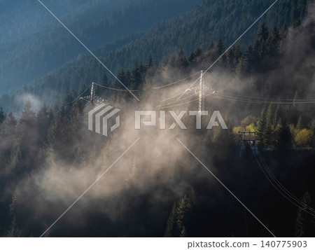 a power line running through a dense forest shrouded in fog or haze a power line running through a dense forest shrouded in fog or haze 140775903
