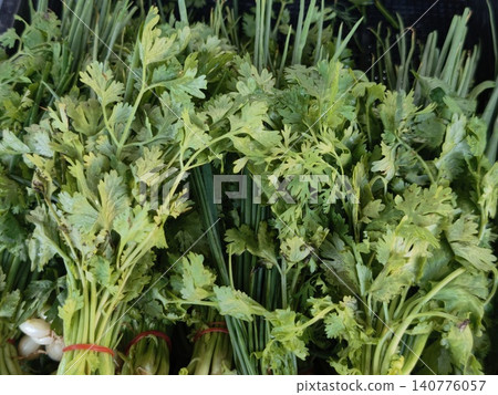 Close up of fresh coriander and spring onion bunches background Close up of fresh coriander and spring onion bunches background 140776057
