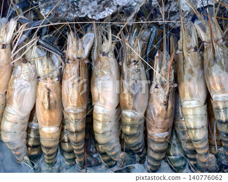 Top view of fresh raw giant river prawns on ice Top view of fresh raw giant river prawns on ice 140776062