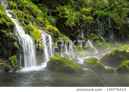 鳥海山-飛島地質公園:苔蘚覆蓋的元瀧瀑布和地下水景觀 鳥海山-飛島地質公園:苔蘚覆蓋的元瀧瀑布和地下水景觀 140776415