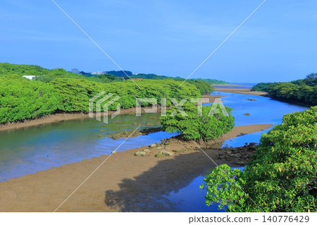 [Okinawa Prefecture] Sunny day in the mangrove forest along the Miyara River (Ishigaki Island) 140776429