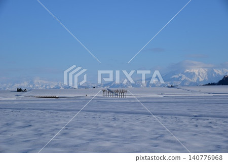 Hasa tree of snowy field · Echigo Miyama snow scene Hasa tree of snowy field · Echigo Miyama snow scene 140776968