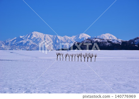 Hasa tree of snowy field · Echigo Miyama snow scene Hasa tree of snowy field · Echigo Miyama snow scene 140776969