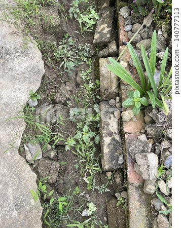 Garden Path Edge with Cement, Bricks, and Weeds 140777113