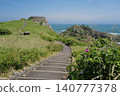 The dynamic scenery of Ashigezaki Observatory on the Sanriku Coast, overlooking the beautiful Pacific Ocean and a cape blooming with Japanese roses. 140777378