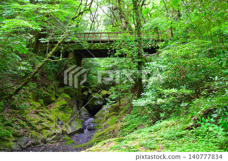 夏天,菊池溪谷,廣河原橋 夏天,菊池溪谷,廣河原橋 140777834