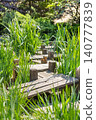 Garden path near wooden posts surrounded by tall grass and plants on a sunny day 140777839