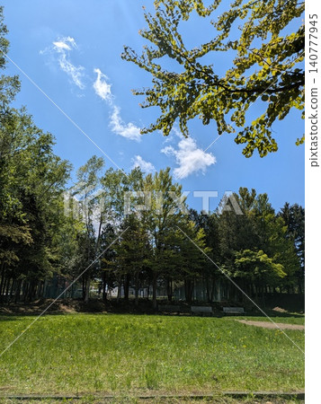 Lush park 140777945
