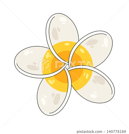 Illustration of frangipani flower Illustration of frangipani flower 140778189