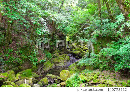 Summer, Kikuchi Valley, tributary Summer, Kikuchi Valley, tributary 140778312