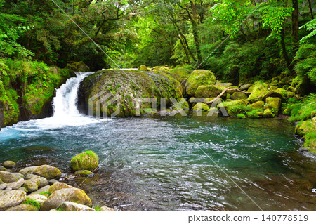 Summer, Kikuchi Valley, Reimei Falls Summer, Kikuchi Valley, Reimei Falls 140778519