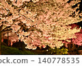 Illuminated cherry blossoms at night 140778535