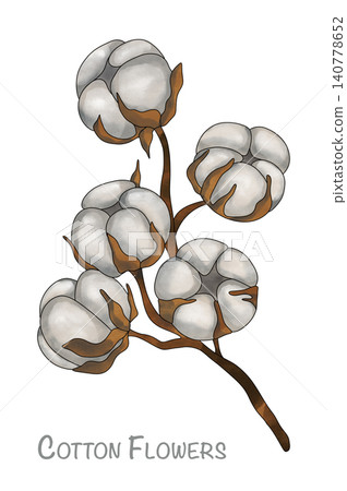 cotton, watercolor, seamless 140778652