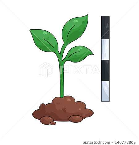 Illustration of growing plant Illustration of growing plant 140778802