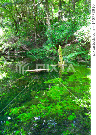 Ikeyama water source Ikeyama water source 140778910