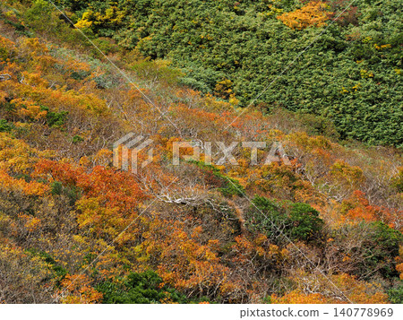 [Mountain Scenery] Autumn foliage on Mt. Kurikoma, Miyagi Prefecture (2023) 140778969