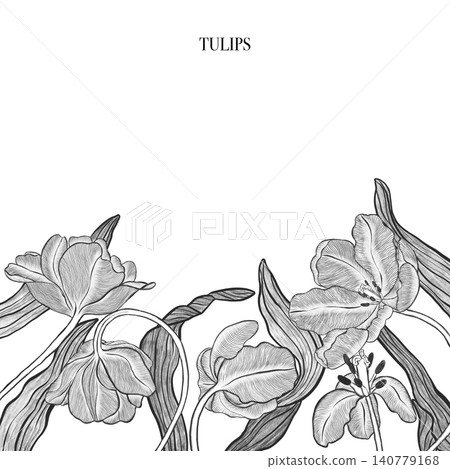 Tulip. Elegant tulip frame: hand drawn botanical illustration. Spring flowers. Invitation. Space for text. 140779168