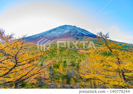 An early autumn morning view from the Okuniwa Observatory overlooking Mount Fuji: a larch forest with its leaves turning orange in the fall, and Mount Fuji lightly covered in snow. An early autumn morning view from the Okuniwa Observatory overlooking Mount Fuji: a larch forest with its leaves turning orange in the fall, and Mount Fuji lightly covered in snow. 140779244