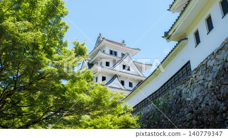 Gujo Hachiman Castle Gujo Hachiman Castle 140779347