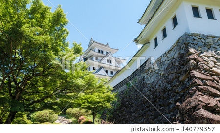 郡上八幡城 郡上八幡城 140779357