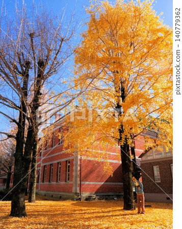 The building of the Fifth High School Memorial Hall, with golden ginkgo leaves in full color. The building of the Fifth High School Memorial Hall, with golden ginkgo leaves in full color. 140779362