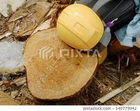 Forestry experience Forestry experience 140779942