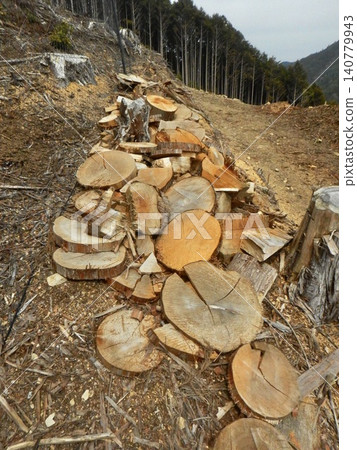 Forestry experience Forestry experience 140779943