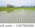 This is a typical rural scene during the rainy season: a Kiha 40 train on the Hojo Railway running through flooded rice paddies. 140780086