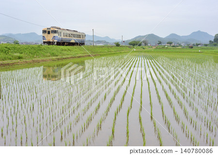 This is a typical rural scene during the rainy season: a Kiha 40 train on the Hojo Railway running through flooded rice paddies. This is a typical rural scene during the rainy season: a Kiha 40 train on the Hojo Railway running through flooded rice paddies. 140780086