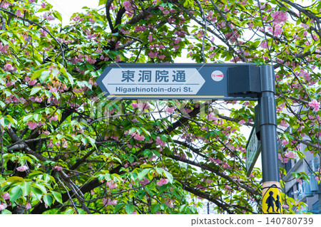 Signage for Higashinotoin Street, a north-south street in Kyoto City Signage for Higashinotoin Street, a north-south street in Kyoto City 140780739