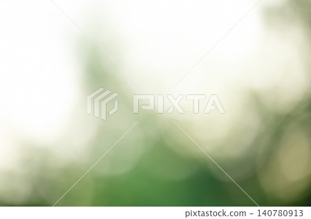 Natural defocus background light sky and dark green foliage. Defocus light green blurred plants. Natural defocus background light sky and dark green foliage. Defocus light green blurred plants. 140780913
