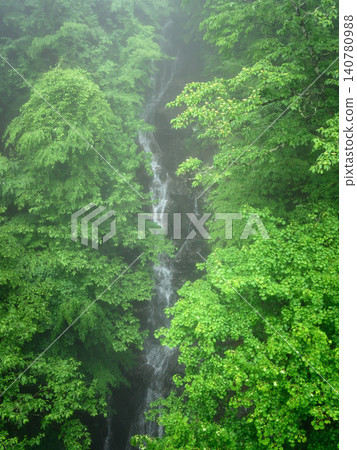 東京奧多摩:初夏時節的水頭大瀑布(水頭山)。 東京奧多摩:初夏時節的水頭大瀑布(水頭山)。 140780988