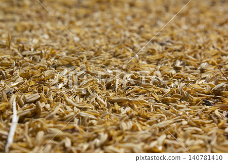 rice peel after harvest and hull background. rice peel after harvest and hull background. 140781410