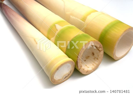 A slender bamboo shoot (Hachiku) with less bitterness. A slender bamboo shoot (Hachiku) with less bitterness. 140781481
