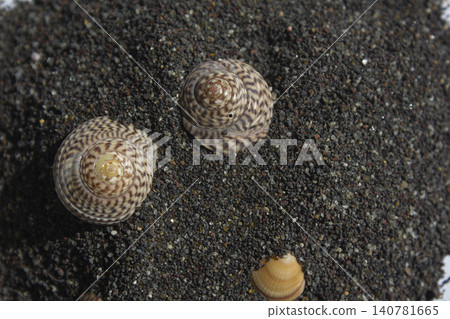 It is a clam shell. It is a clam shell. 140781665