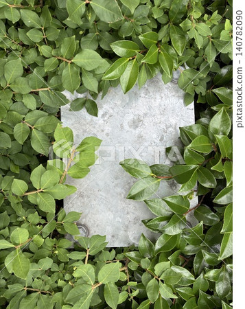 以植物的綠色和金屬的無機質感為特色的自然現代風格邊框背景。 以植物的綠色和金屬的無機質感為特色的自然現代風格邊框背景。 140782090