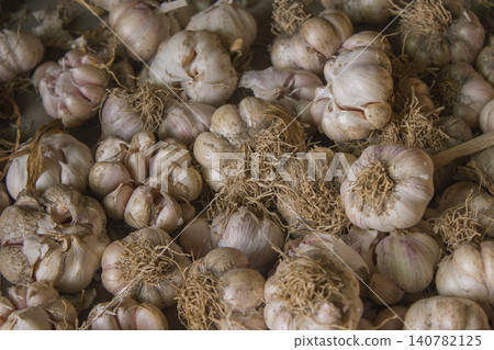 Garlic harvest, growing vegetable, agriculture background 140782125
