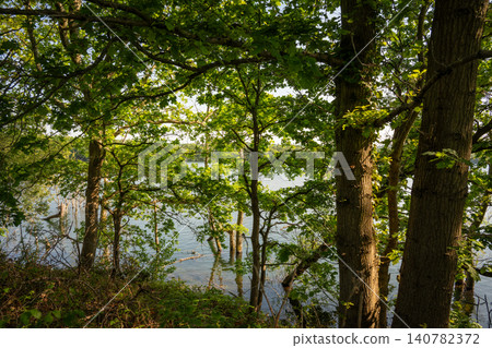 Mercers Lake near Merstham, Surrey, UK. View through trees to the lake. Mercers Lake near Merstham, Surrey, UK. View through trees to the lake. 140782372