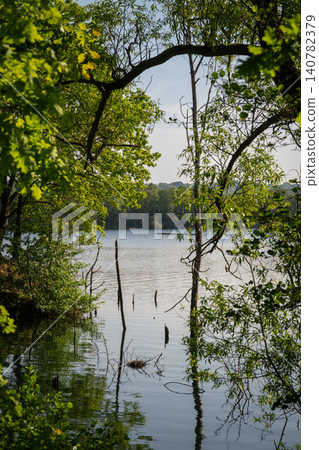 Mercers Lake near Merstham, Surrey, UK. View through trees to the cool waters of the lake. Mercers Lake near Merstham, Surrey, UK. View through trees to the cool waters of the lake. 140782379