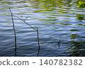Ripples and reflections on the surface of the water at Mercers Lake near Merstham, Surrey, UK. 140782382