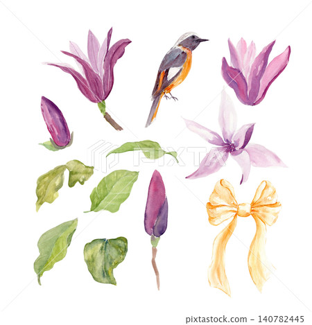 Magnolia flowers, buds, leaves, Daurian redstart bird, ribbon bow watercolor set. Hand painted collection isolated on white background for wedding stationery, invitations, branding, packaging, decor 140782445