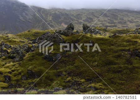 Moss-covered volcanic lava field in Iceland Moss-covered volcanic lava field in Iceland 140782581