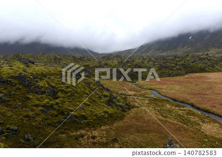Moss-covered volcanic lava field in Iceland Moss-covered volcanic lava field in Iceland 140782583