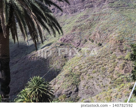 Mountain valley landscape with palm trees and rocky slopes Mountain valley landscape with palm trees and rocky slopes 140782592