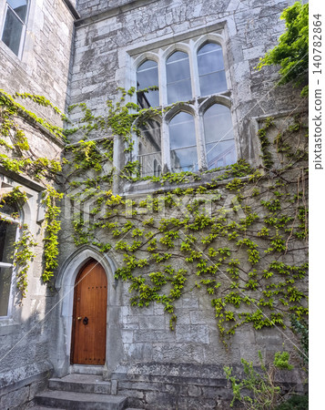 Historic stone building with ivy covered facade Historic stone building with ivy covered facade 140782864