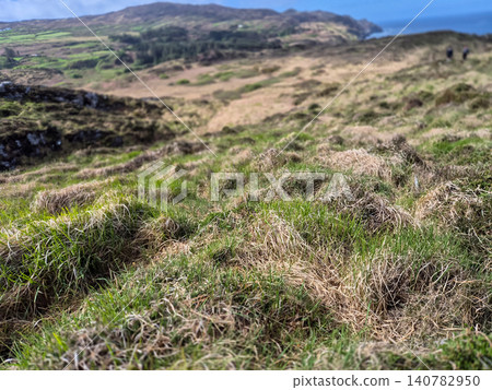 Grassy coastal hillside with distant mountain view Grassy coastal hillside with distant mountain view 140782950
