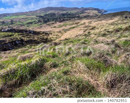 Grassy hillside overlooking coastal mountains Grassy hillside overlooking coastal mountains 140782951