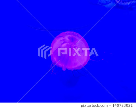 Glowing jellyfish in blue underwater scene Glowing jellyfish in blue underwater scene 140783021