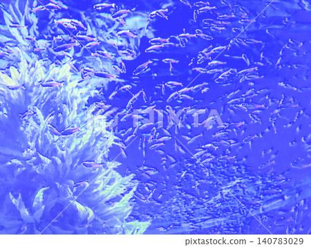 School of Fish in Blue Underwater Scene School of Fish in Blue Underwater Scene 140783029